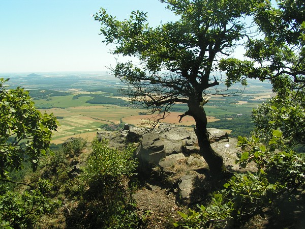 ČESKÉ STŘEDOHOŘÍ - SEDLO 726 M